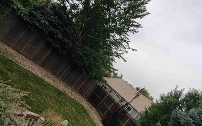 Photo of James B.'s yard after getting landscaping in Dumont, CO