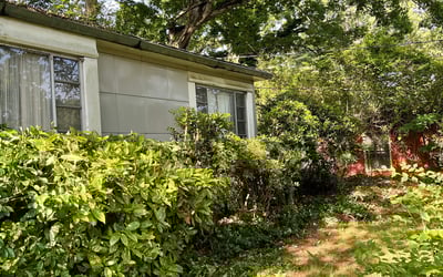 Photo of Jackie B.'s yard after getting landscaping in Turin, GA