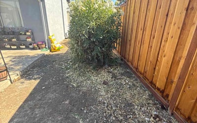 Photo of Ophelia R.'s yard after getting tree care in Berkeley, CA