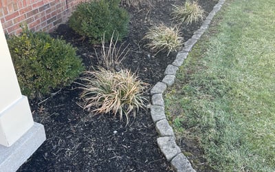 Photo of Michelle L.'s yard after getting landscaping in Wilmore, KY