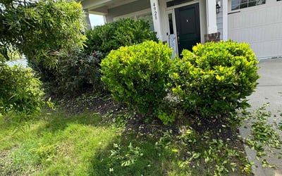 Photo of George R.'s yard after getting landscaping in Pineville, NC