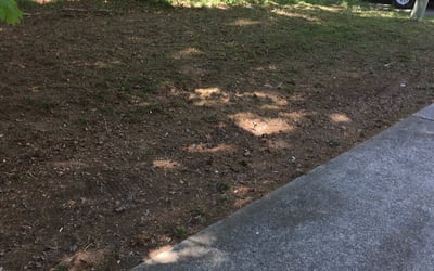 Photo of Steven A.'s yard after getting landscaping in Montpelier, VA