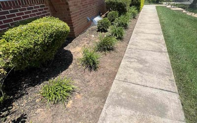 Photo of Hanna M.'s yard after getting landscaping in Ijamsville, MD