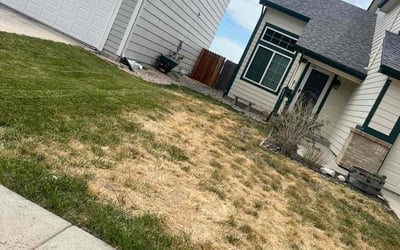 Photo of Nichole T.'s yard after getting tree care in Fountain, CO