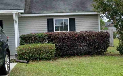 Photo of Matthew D.'s yard after getting landscaping in Beaufort, SC