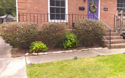 Photo of Janet B.'s yard after getting tree care in Mooresville, NC