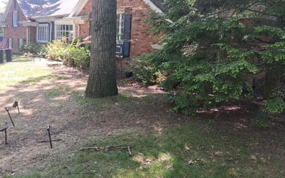 Photo of Stephanie S.'s yard after getting landscaping in Toledo, OH