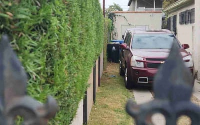 Photo of Judy B.'s yard after getting landscaping in Canoga Park, CA