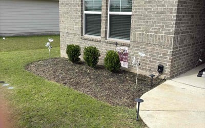 Photo of Daniel E.'s yard after getting landscaping in Hutto, TX