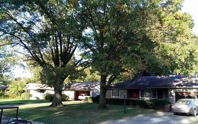 Photo of Lisa C.'s yard after getting landscaping in Alexandria, OH