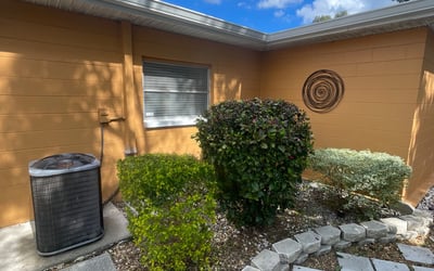 Photo of Barbara H.'s yard after getting landscaping in Trilby, FL
