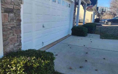 Photo of Lindsey L.'s yard after getting tree care in Fort Mill, SC