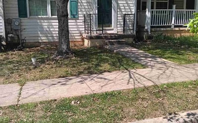 Photo of Susan S.'s yard after getting landscaping in Rosedale, MD