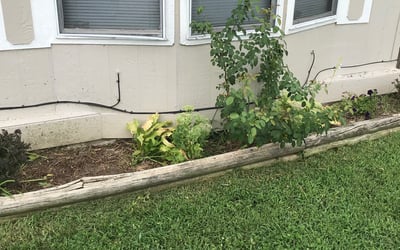 Photo of Teresa G.'s yard after getting landscaping in Mulvane, KS