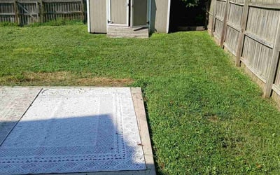 Photo of Beth S.'s yard after getting landscaping in Kansas City, KS