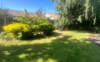 Photo of Monique A.'s yard after getting tree care in Camarillo, CA