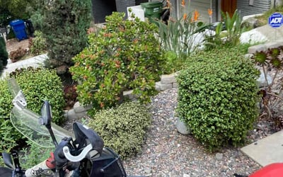 Photo of Adam H.'s yard after getting landscaping in Van Nuys, CA