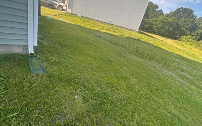 Photo of Anthony R.'s yard after getting landscaping in Louisville, KY