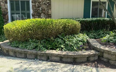 Photo of Kim S.'s yard after getting landscaping in Lapeer, MI