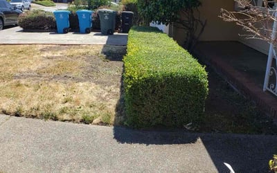 Photo of UNEKI B.'s yard after getting tree care in Arroyo Grande, CA