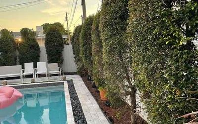Photo of Karen Z.'s yard after getting landscaping in Opa Locka, FL