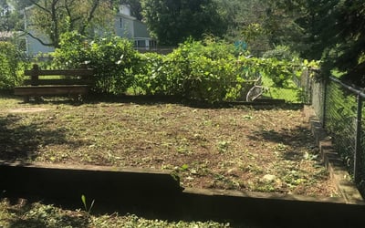 Photo of Sean C.'s yard after getting landscaping in Batavia, IL