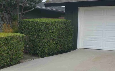 Photo of Alexis B.'s yard after getting landscaping in Newport Beach, CA