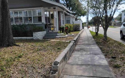 Photo of John S.'s yard after getting tree care in Land O' Lakes, FL