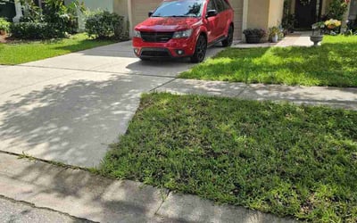 Photo of Stephanie C.'s yard after getting landscaping in Riverview, FL