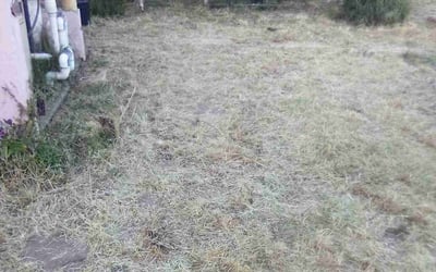 Photo of Samuel M.'s yard after getting landscaping in Apple Valley, CA