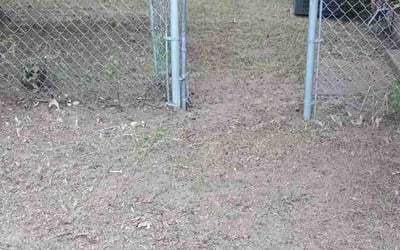 Photo of Dee T.'s yard after getting landscaping in Raeford, NC