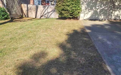 Photo of Trey M.'s yard after getting tree care in Liberty, MO