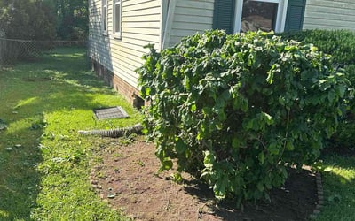 Photo of Kevin L.'s yard after getting landscaping in Moyock, NC