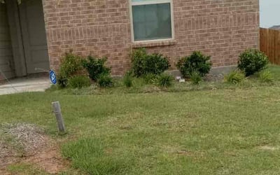 Photo of Marcus C.'s yard after getting tree care in Denton, TX