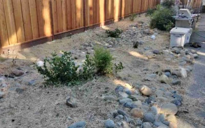 Photo of Gary T.'s yard after getting landscaping in Fairfield, CA