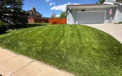 Photo of Cynthia W.'s yard after getting landscaping in Kittredge, CO