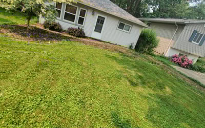Photo of Michael B.'s yard after getting landscaping in Independence, OH