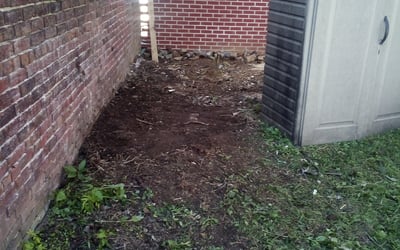 Photo of Paul O.'s yard after getting landscaping in Folsom, PA
