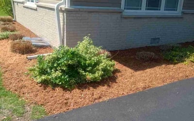 Photo of Kevin C.'s yard after getting landscaping in Mount Prospect, IL