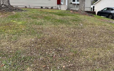 Photo of Brian G.'s yard after getting landscaping in Marshville, NC