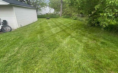 Photo of Christopher T.'s yard after getting landscaping in Roseville, MI