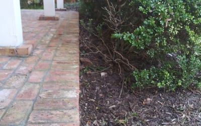 Photo of Morgan P.'s yard after getting landscaping in Saint Rose, LA