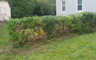 Photo of Kay N.'s yard after getting landscaping in Gum Spring, VA