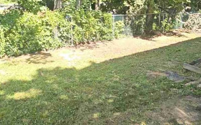 Photo of Carl W.'s yard after getting landscaping in Langhorne, PA