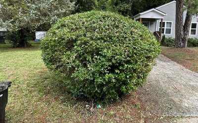 Photo of Jennifer L.'s yard after getting landscaping in Mebane, NC