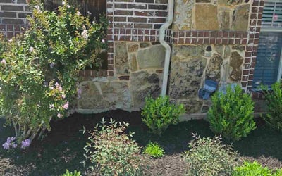 Photo of Jack H.'s yard after getting tree care in Southlake, TX