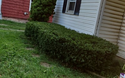 Photo of Mark W.'s yard after getting landscaping in Jacksontown, OH