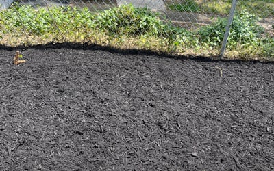 Photo of Jessica M.'s yard after getting landscaping in Manakin Sabot, VA