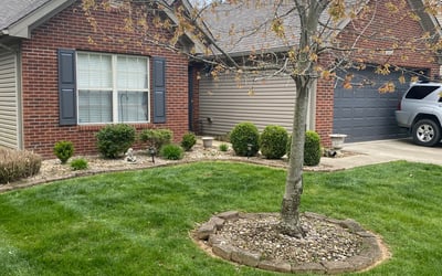 Photo of Laura M.'s yard after getting tree care in Louisville, KY