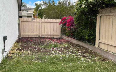 Photo of Daniel C.'s yard after getting landscaping in Jamul, CA